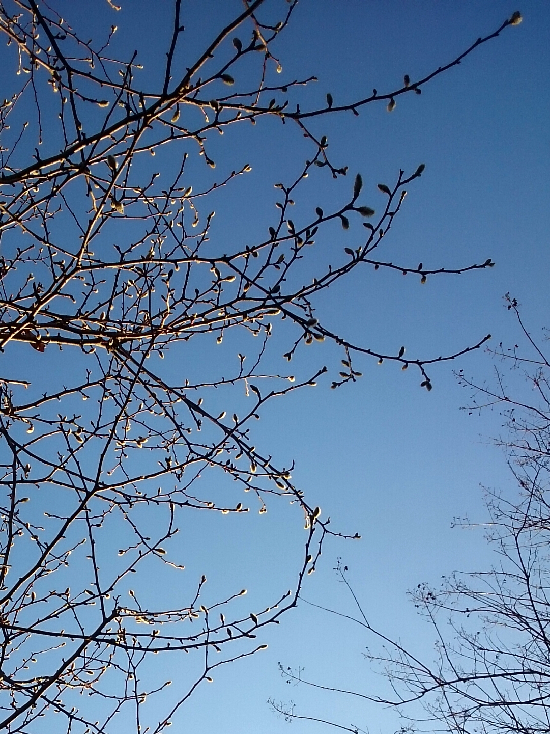 2017年1月撮影 立川