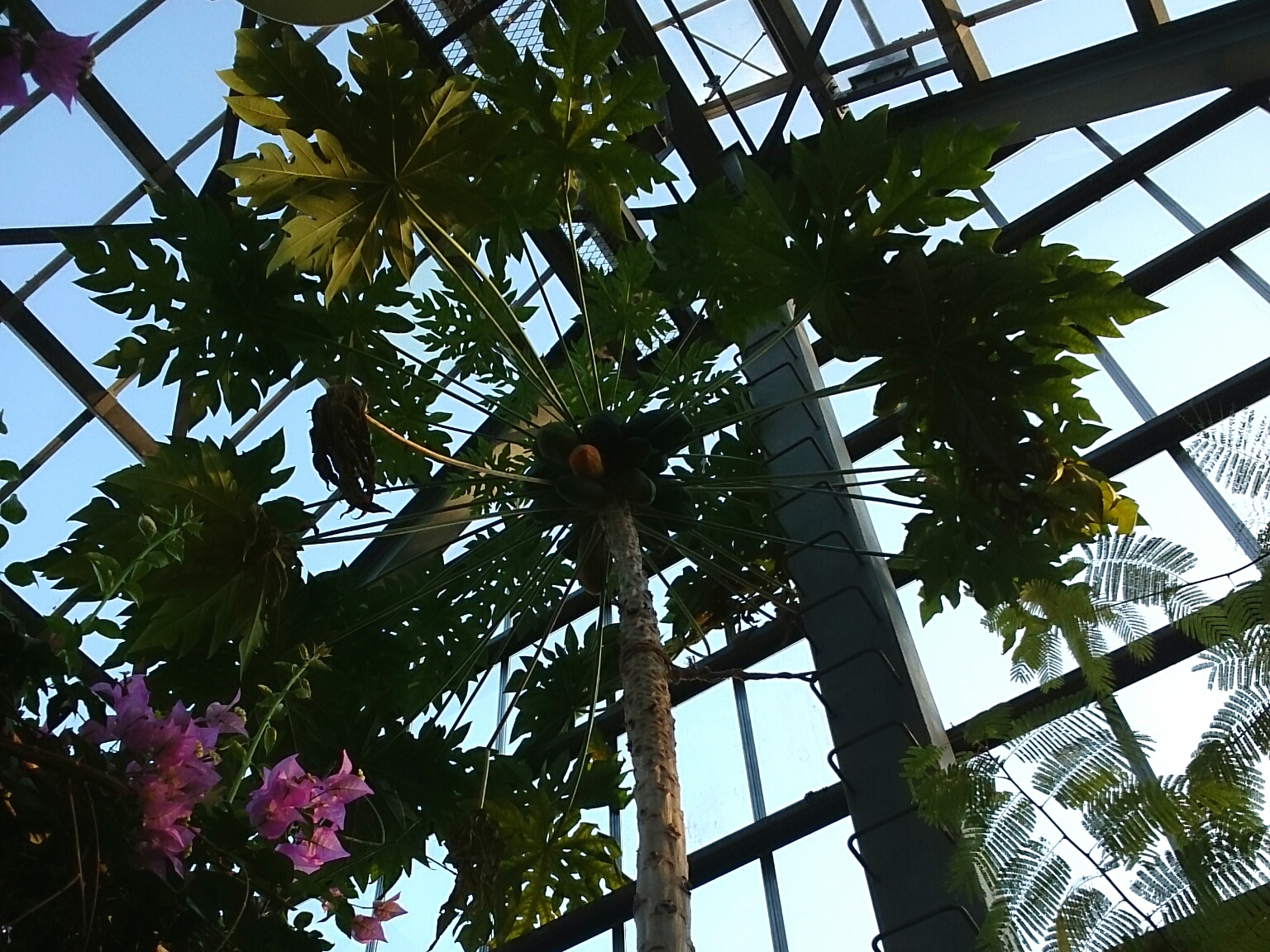 f:id:jerich:20170129083142j:image