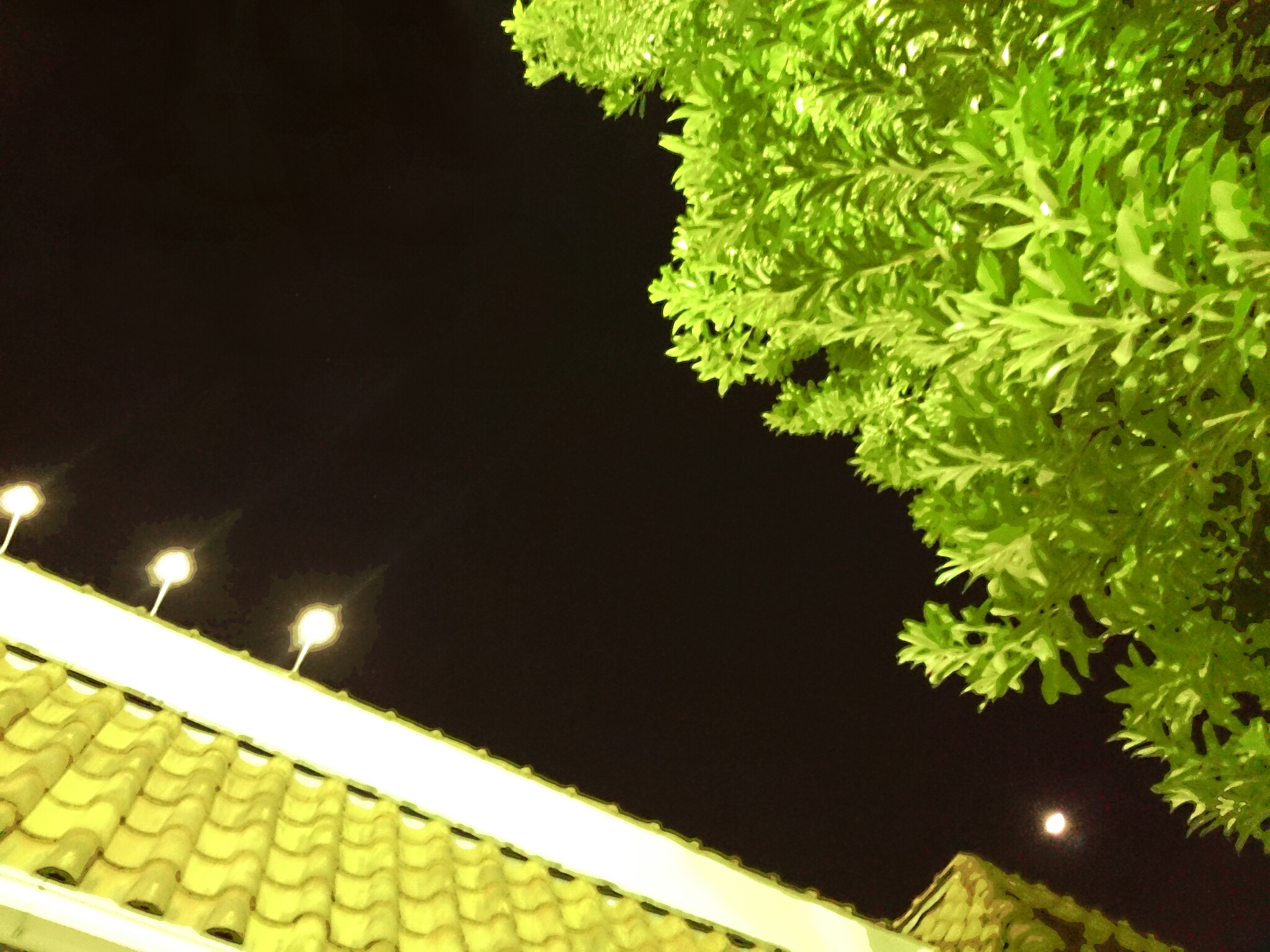 f:id:jerich:20170208085342j:image