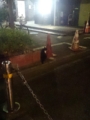 2月22日は猫の日だから猫画像222枚貼るよ