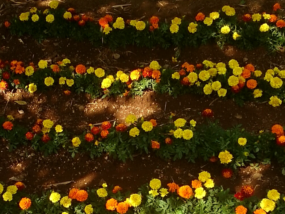 f:id:jerich:20170625011437j:image
