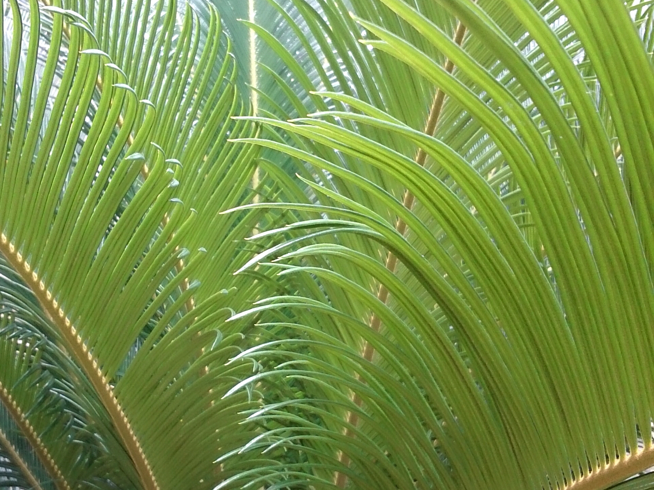 f:id:jerich:20170720002521j:image