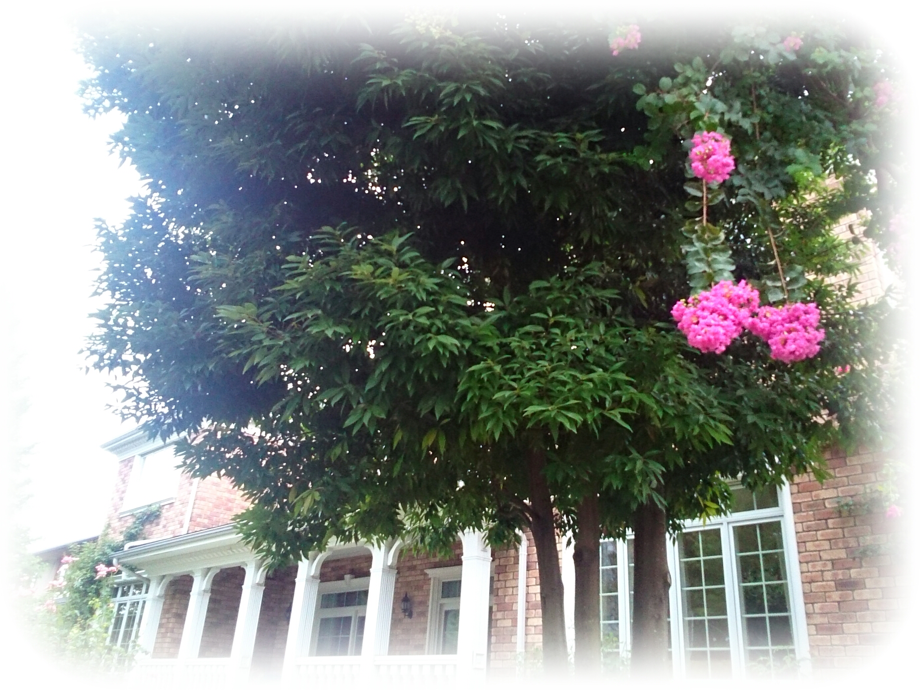 f:id:jerich:20170726234247j:image