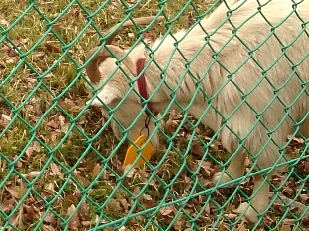 f:id:jerich:20170922232645j:plain f:id:jerich:20170922232645j:plain