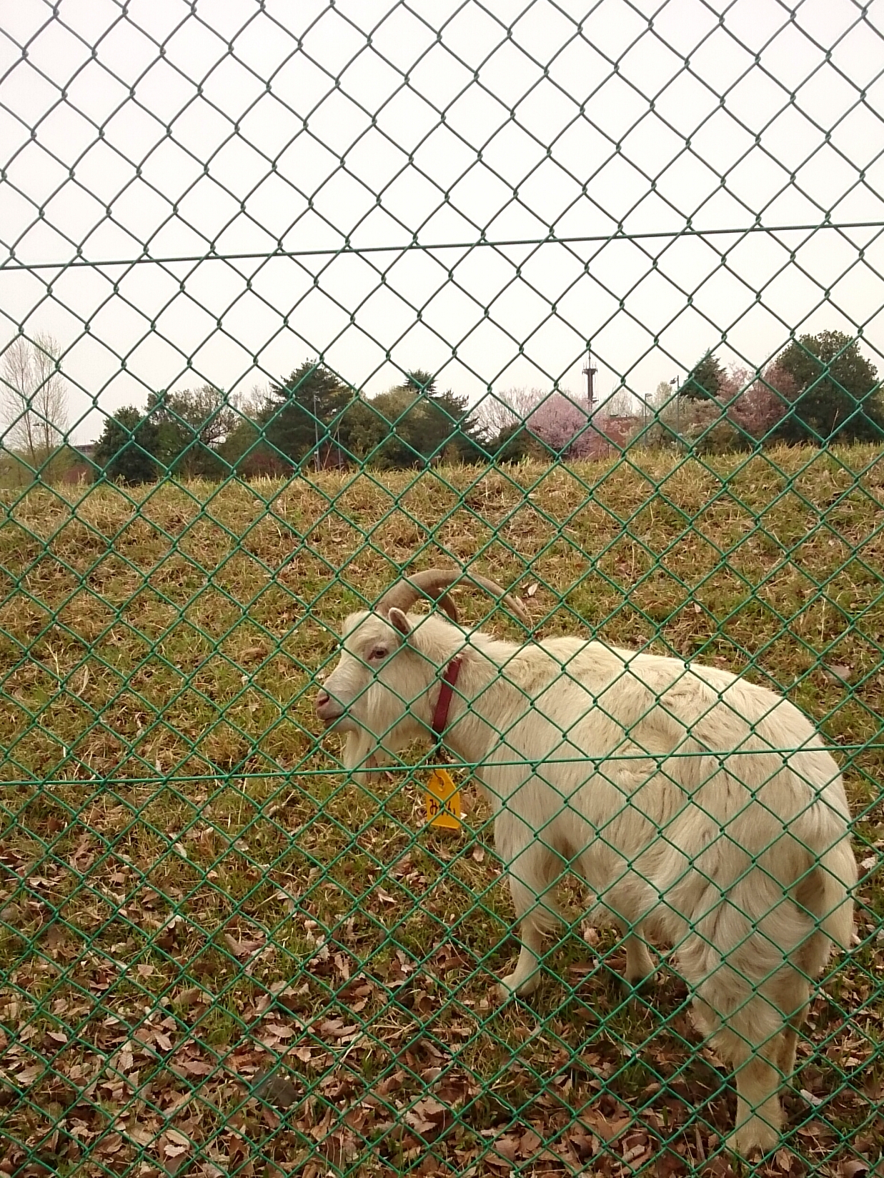 f:id:jerich:20170922232700j:plain f:id:jerich:20170922232700j:plain