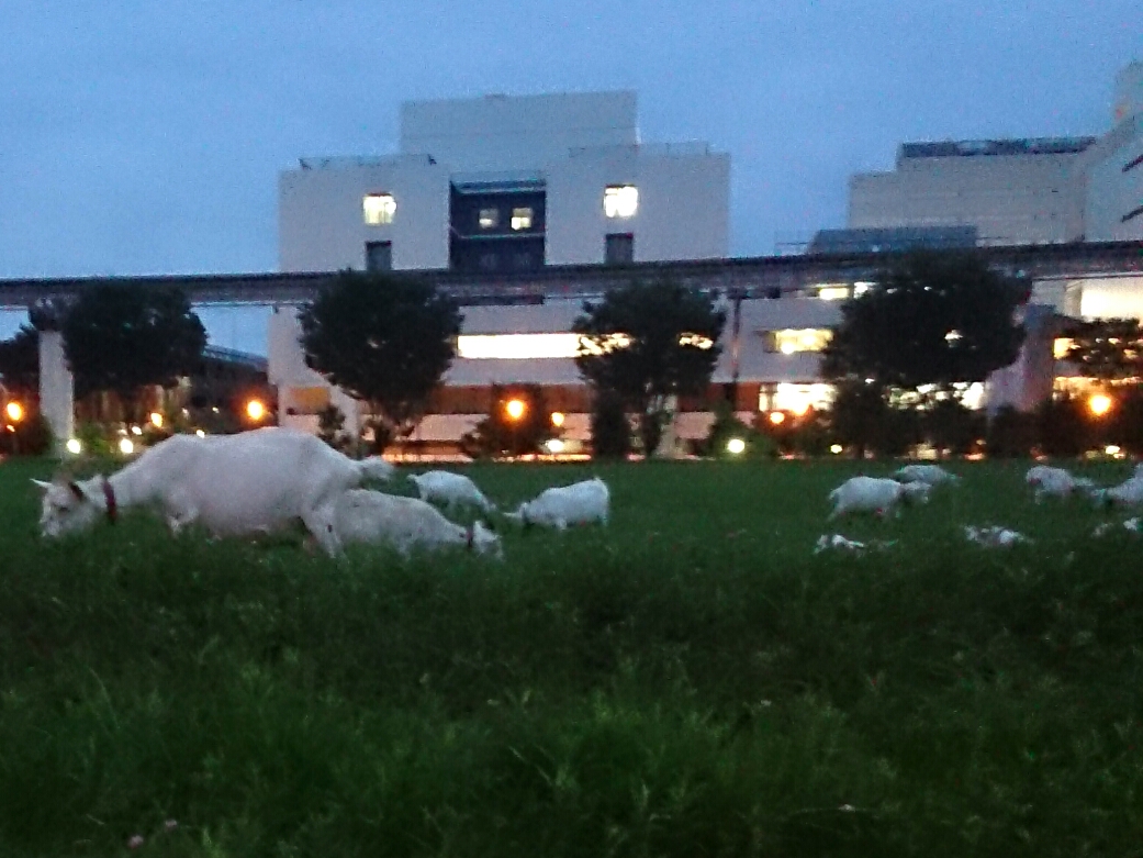 f:id:jerich:20170922234136j:plain f:id:jerich:20170922234136j:plain