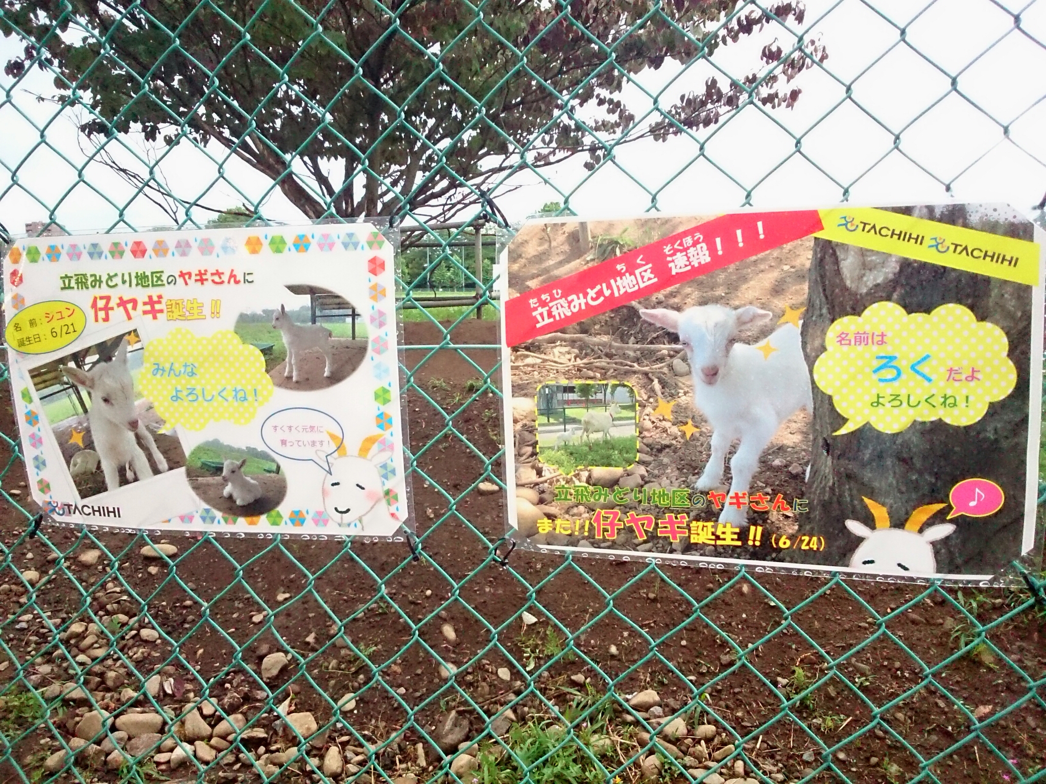 f:id:jerich:20170925221448j:plain f:id:jerich:20170925221448j:plain