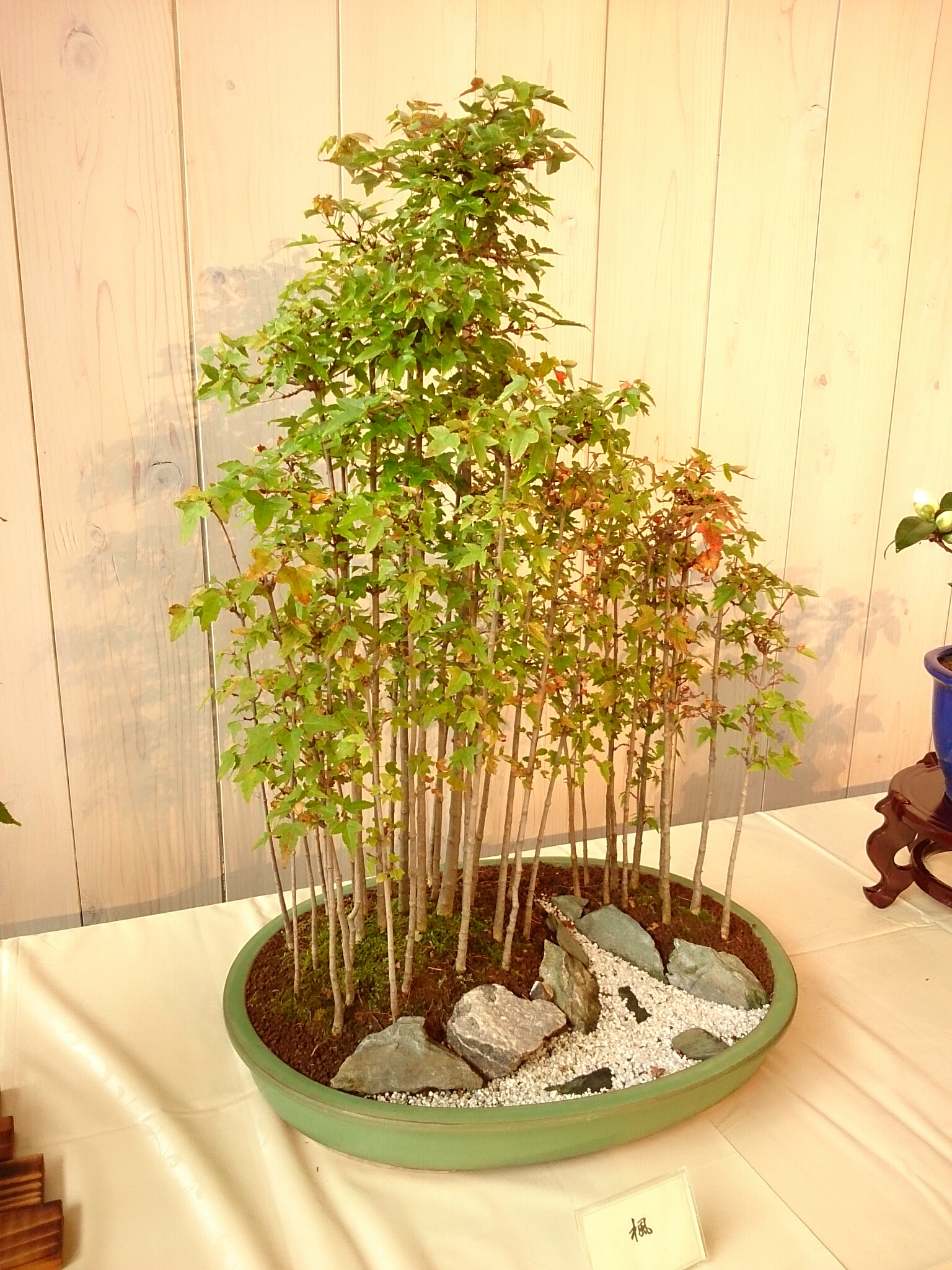 f:id:jerich:20171021224327j:plain f:id:jerich:20171021224327j:plain