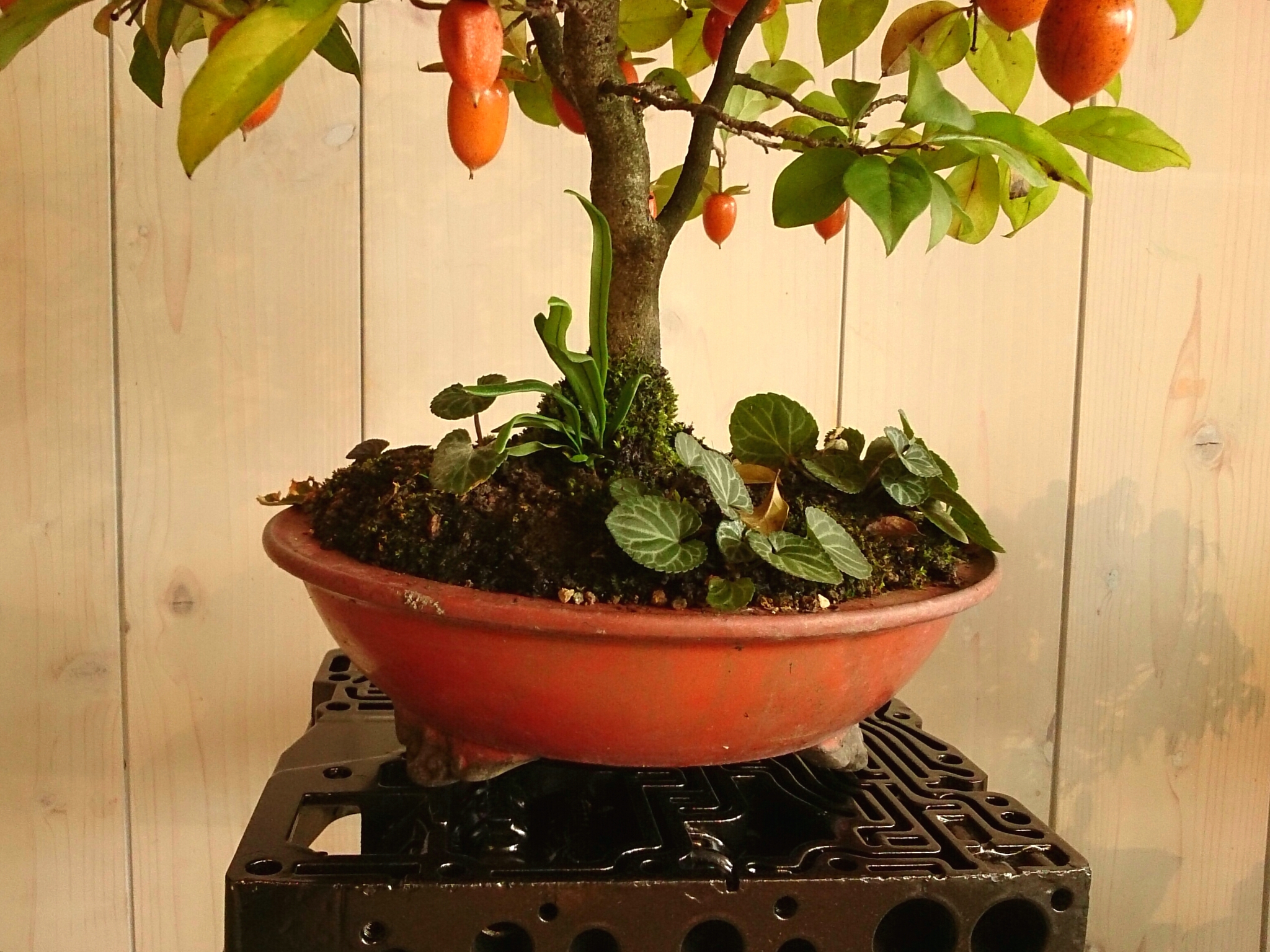 f:id:jerich:20171021224623j:plain f:id:jerich:20171021224623j:plain