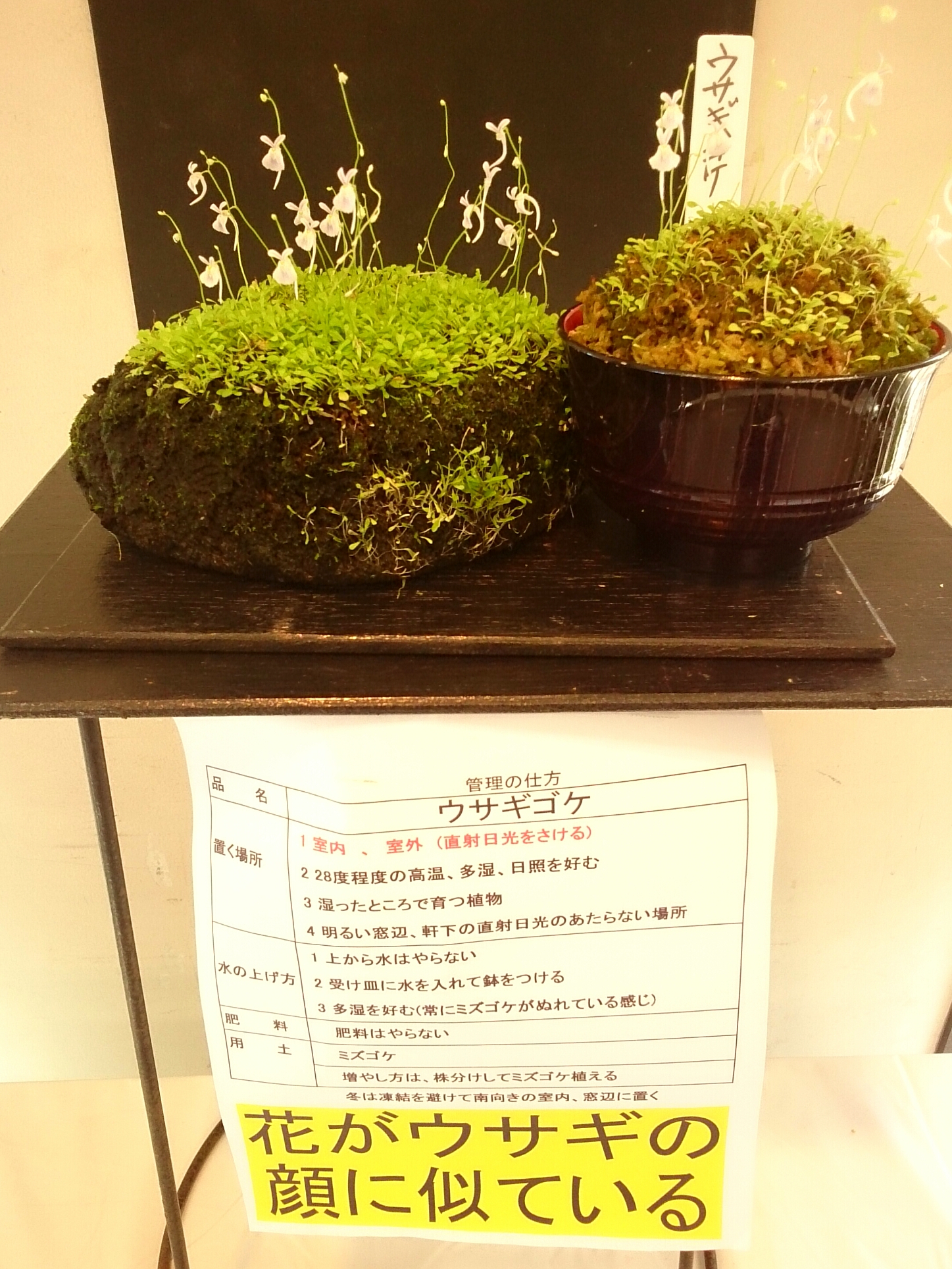 f:id:jerich:20171021224651j:plain f:id:jerich:20171021224651j:plain