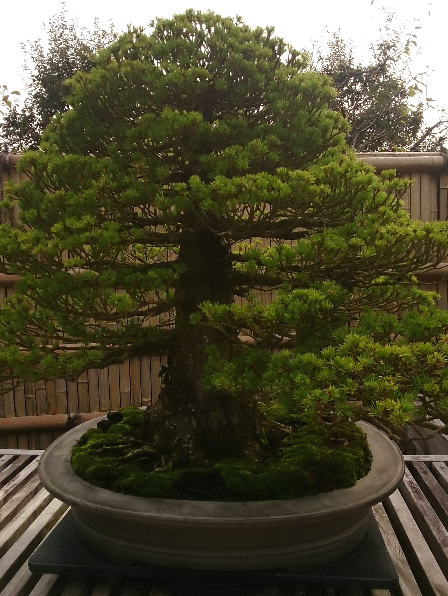 f:id:jerich:20171021224906j:plain f:id:jerich:20171021224906j:plain