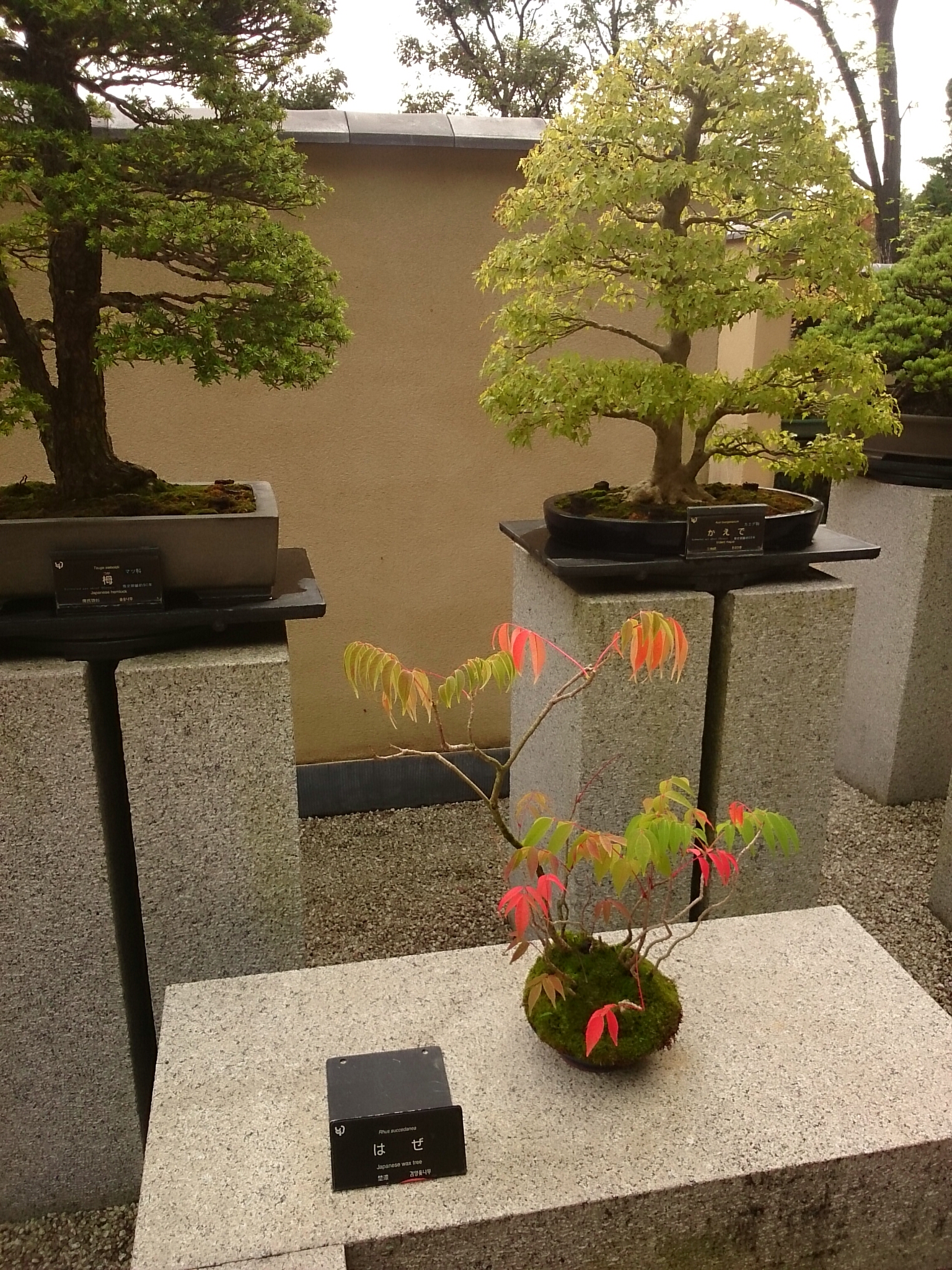 f:id:jerich:20171021225115j:plain f:id:jerich:20171021225115j:plain