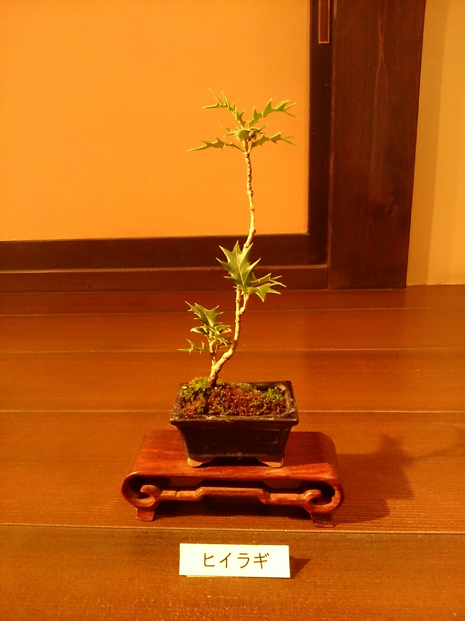 f:id:jerich:20171021225126j:plain f:id:jerich:20171021225126j:plain