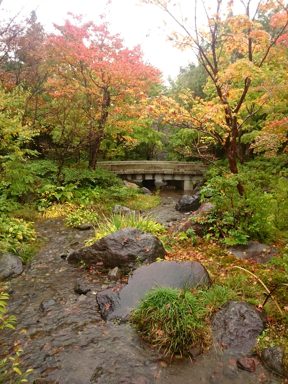 f:id:jerich:20171110233551j:plain