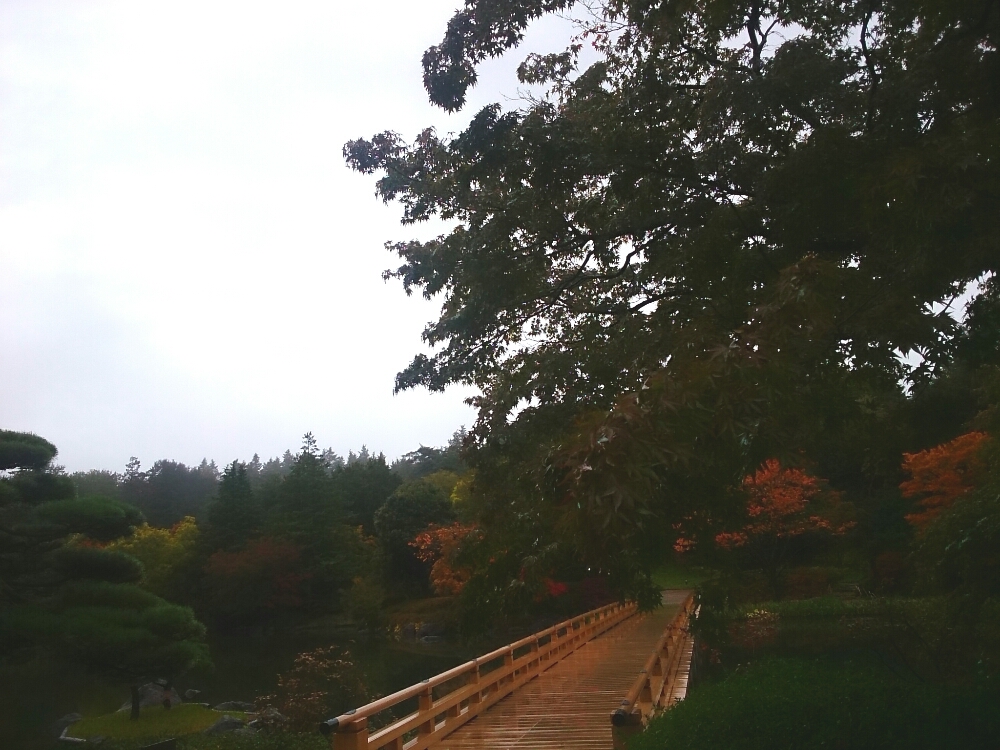 f:id:jerich:20171110233733j:plain