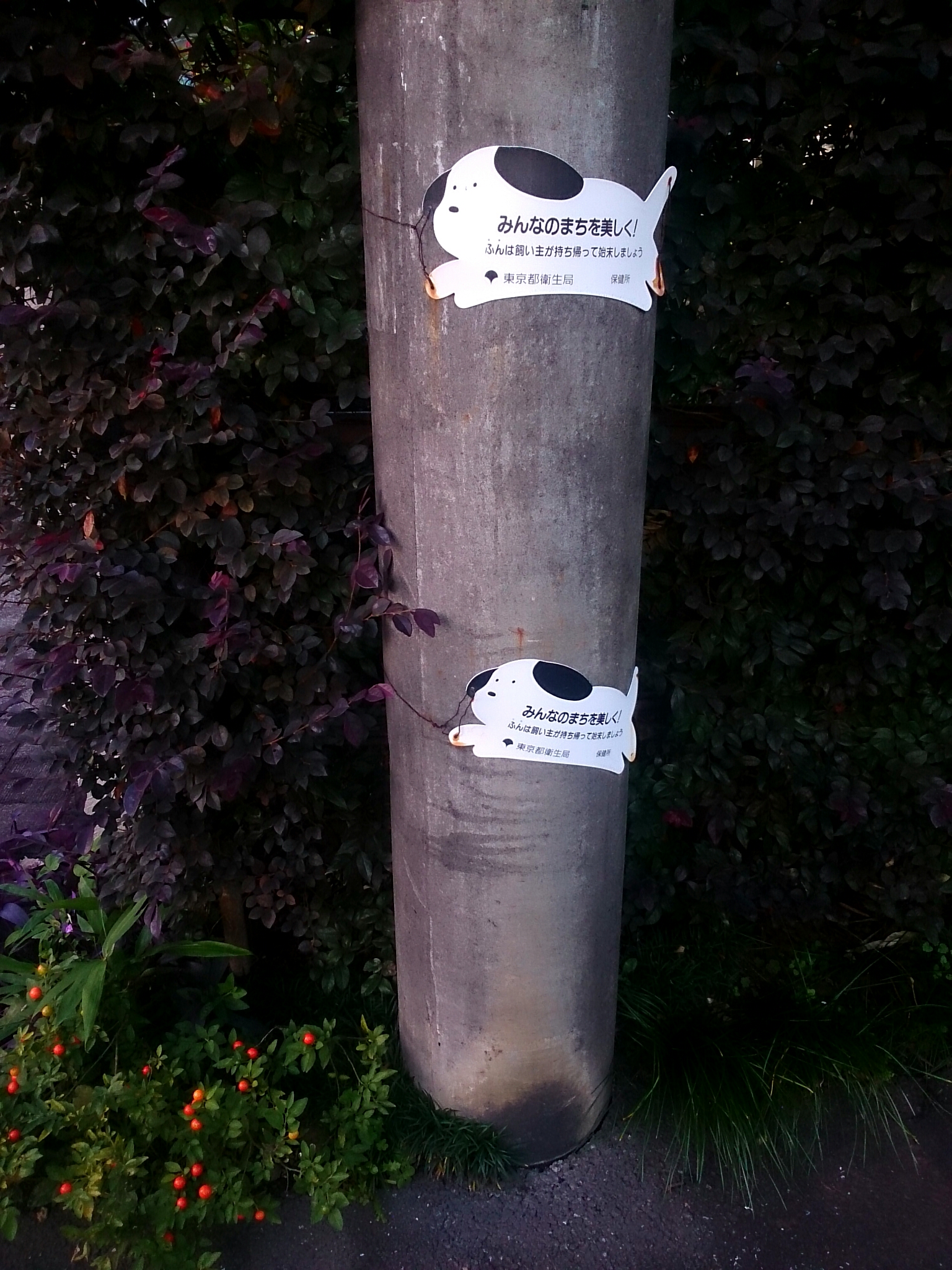 f:id:jerich:20171116234213j:plain f:id:jerich:20171116234213j:plain