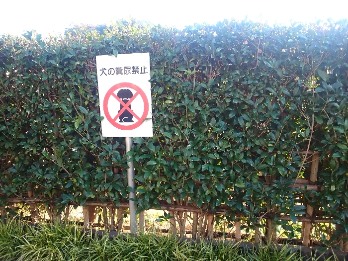 f:id:jerich:20171116234220j:plain f:id:jerich:20171116234220j:plain