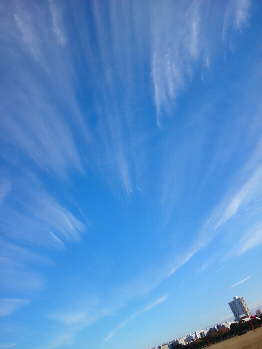 f:id:jerich:20171203231527j:plain f:id:jerich:20171203231527j:plain