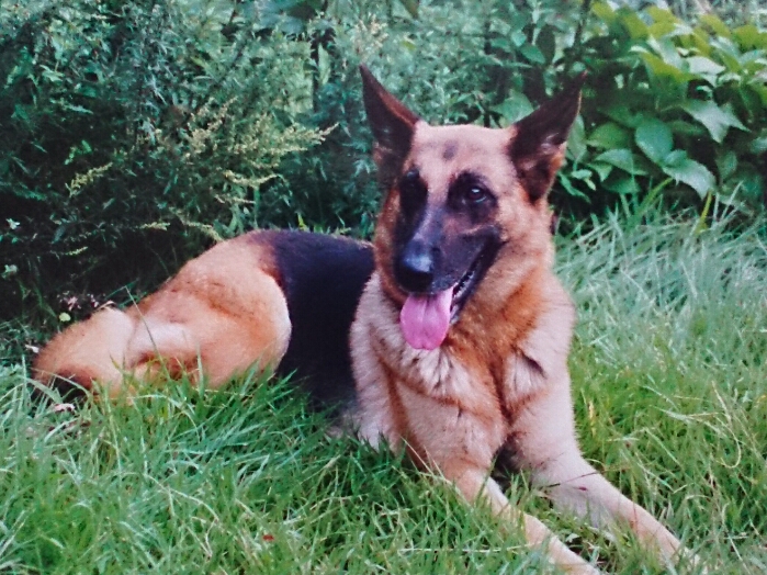 f:id:jerich:20171231231814j:plain