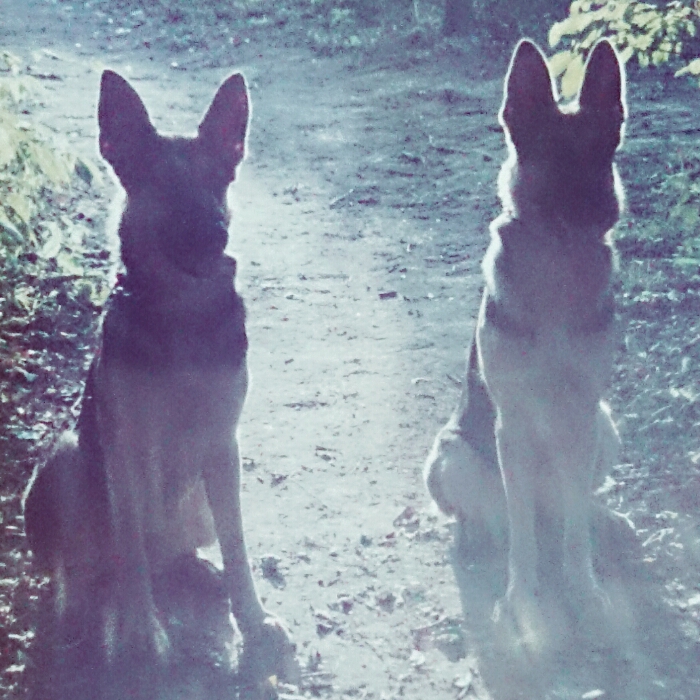 f:id:jerich:20171231231818j:plain