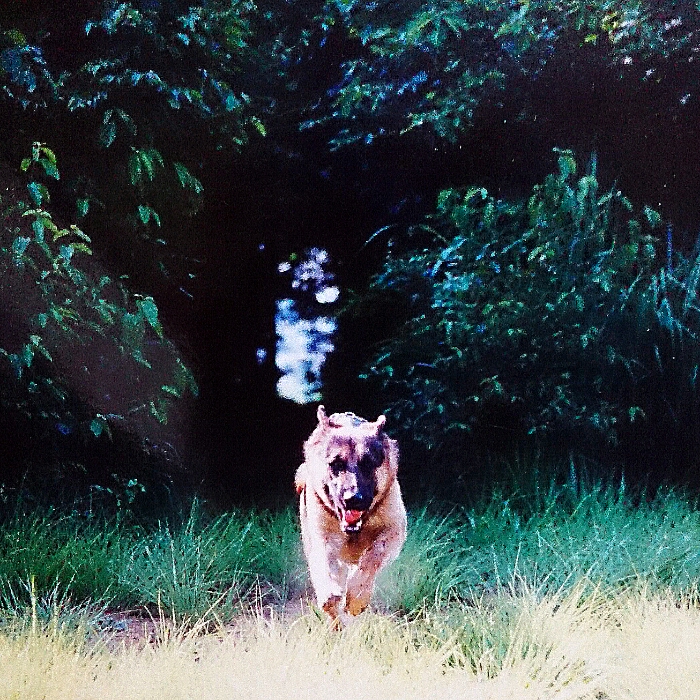 f:id:jerich:20171231231821j:plain