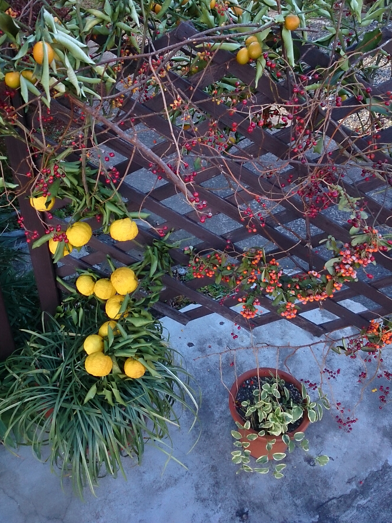 f:id:jerich:20180105003410j:image