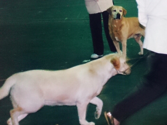 f:id:jerich:20180121233728j:plain