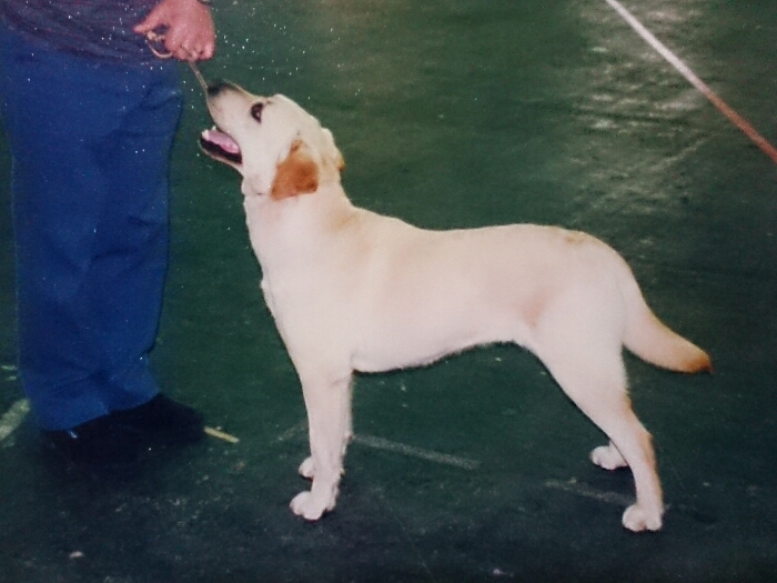 f:id:jerich:20180121233735j:plain