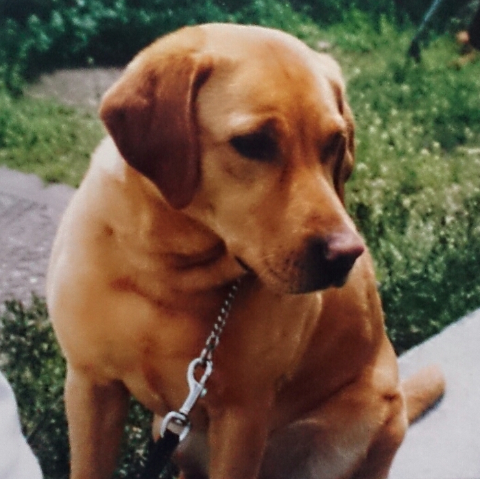 f:id:jerich:20180121233831j:plain