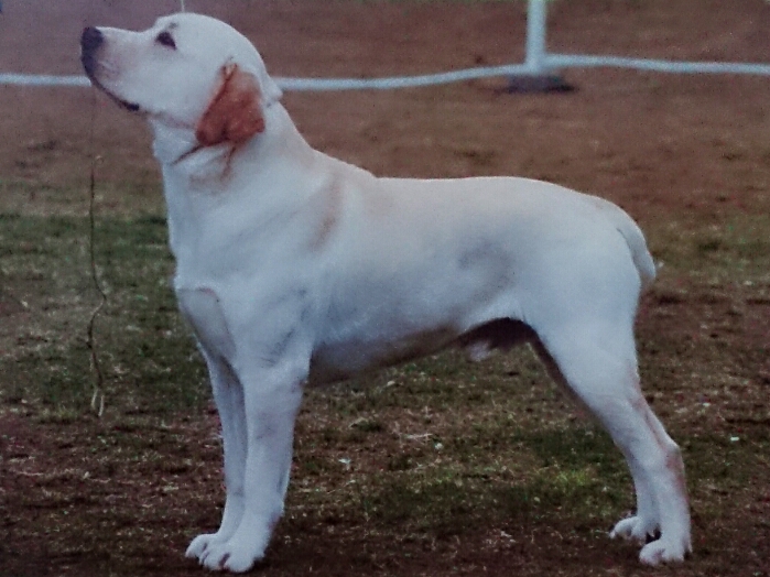 f:id:jerich:20180121233835j:plain