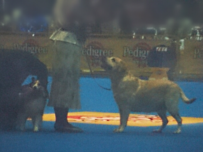 f:id:jerich:20180121233838j:plain