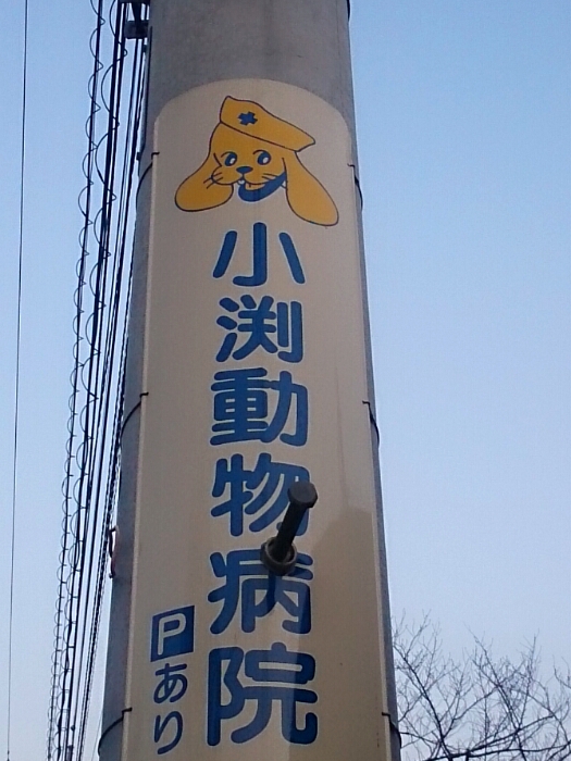 f:id:jerich:20180126001315j:plain