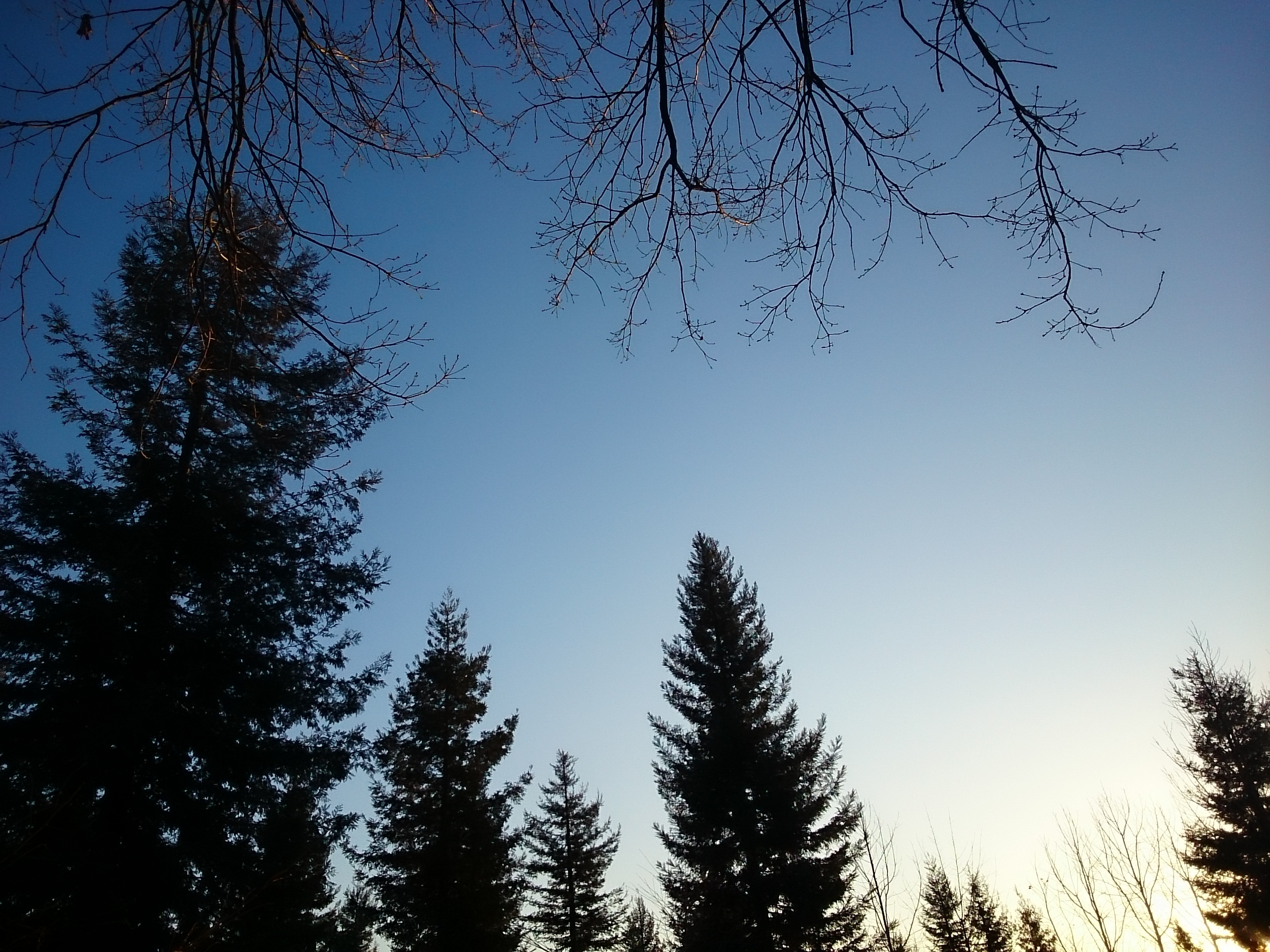 f:id:jerich:20180127212118j:image