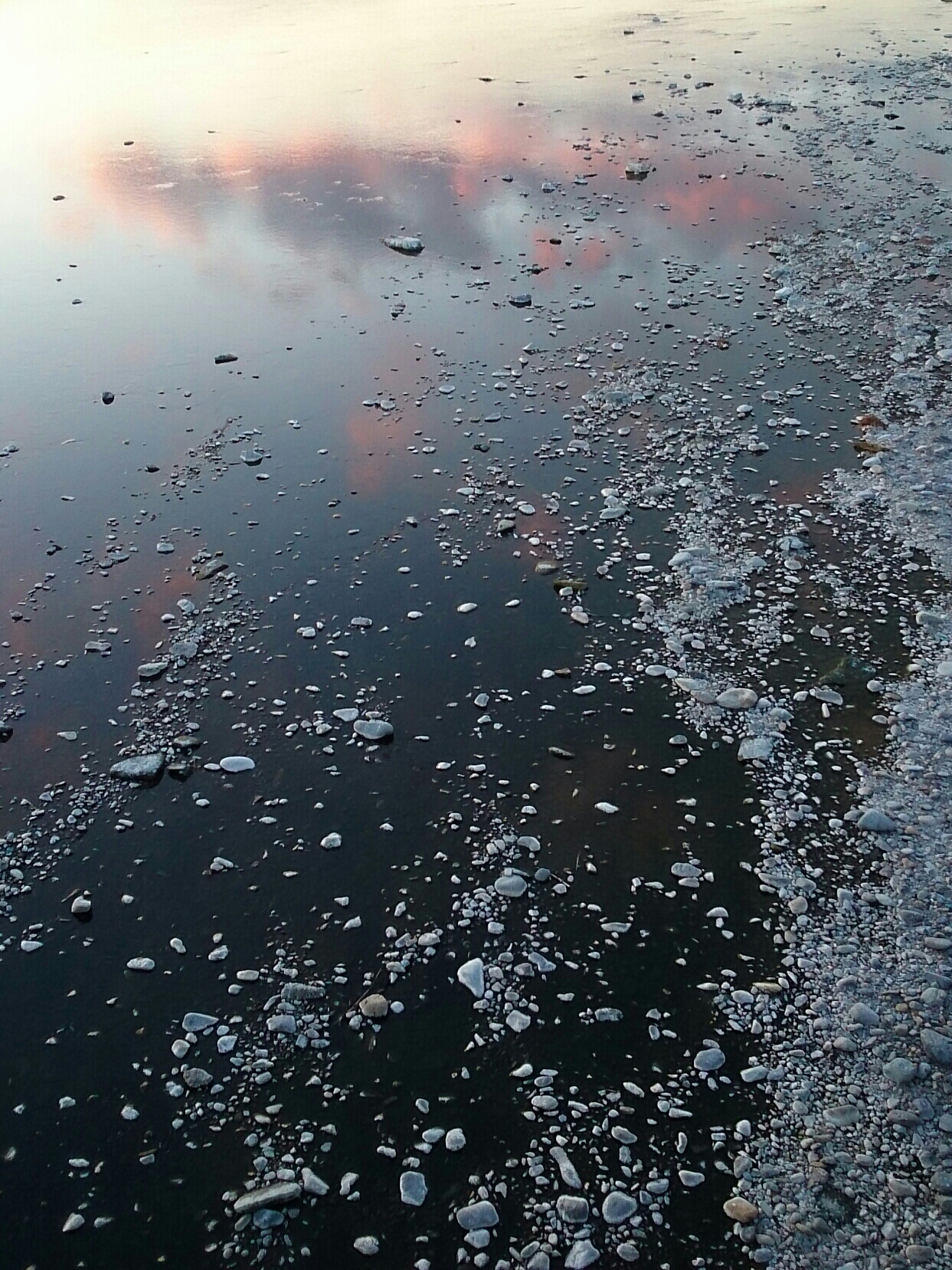 2018年2月撮影 日野