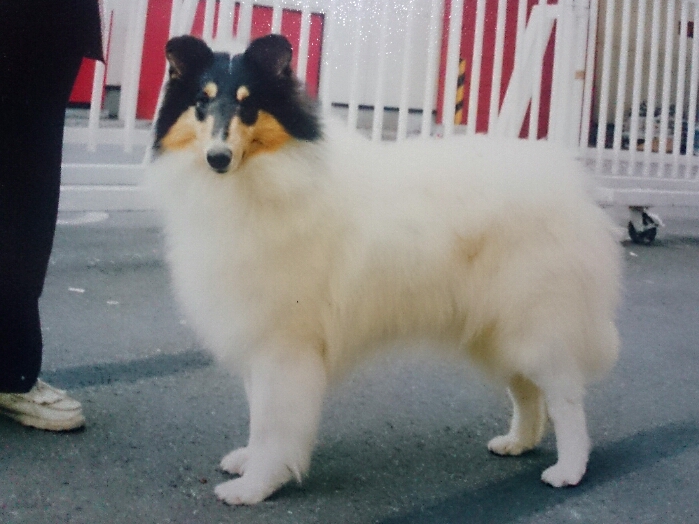 f:id:jerich:20180301230833j:plain f:id:jerich:20180301230833j:plain