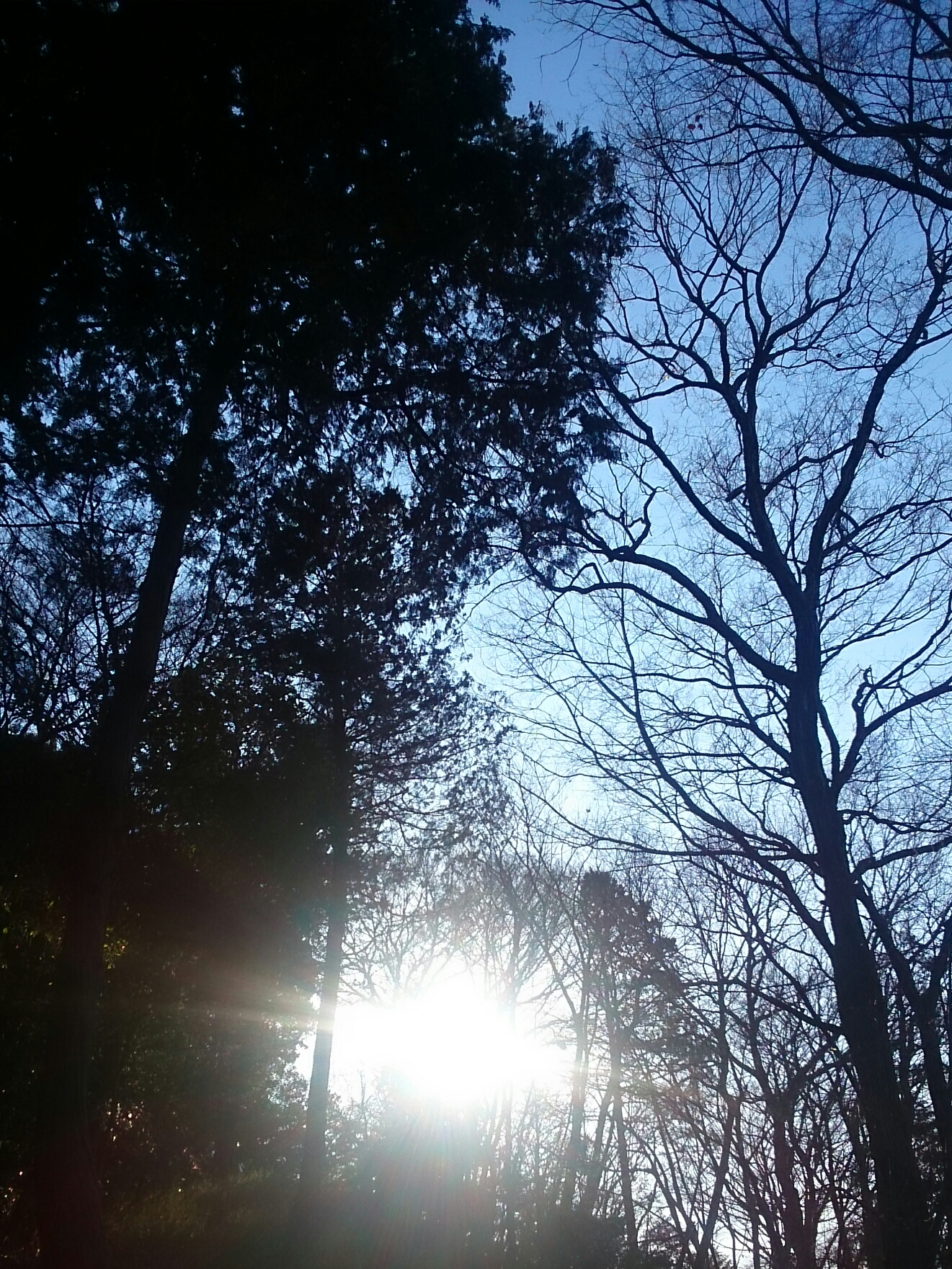 f:id:jerich:20180306234837j:image