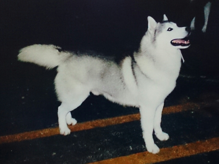 f:id:jerich:20180310225330j:plain f:id:jerich:20180310225330j:plain