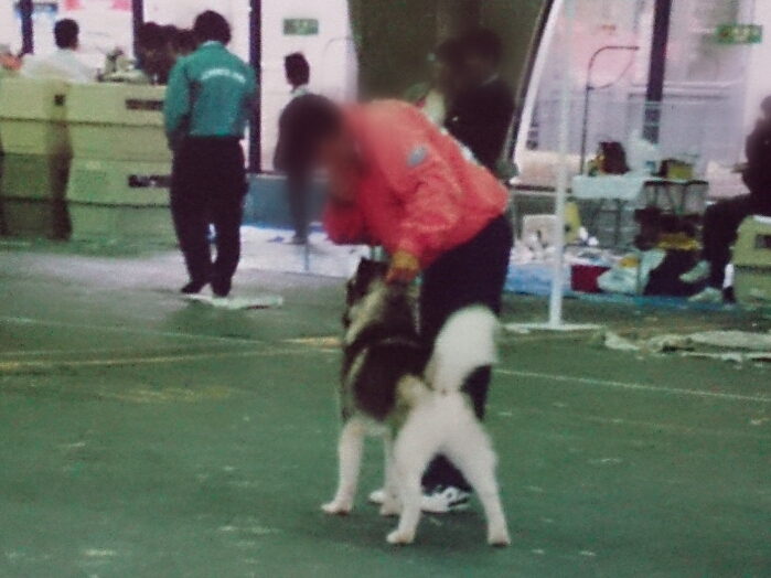 f:id:jerich:20180310225525j:plain f:id:jerich:20180310225525j:plain