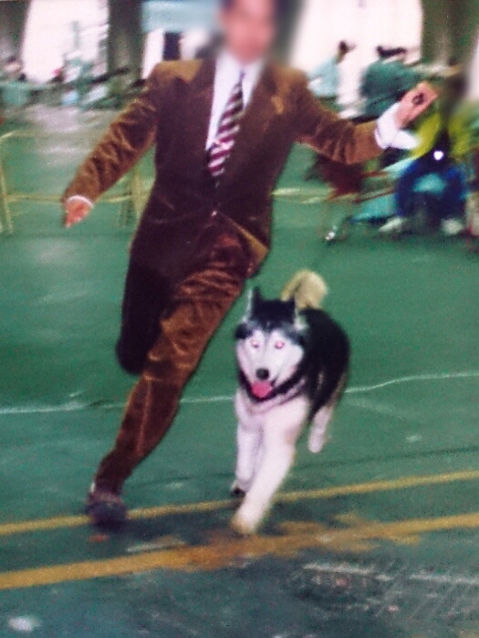 f:id:jerich:20180310225534j:plain f:id:jerich:20180310225534j:plain