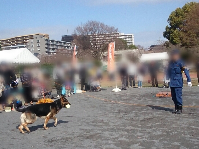 f:id:jerich:20180311224032j:plain