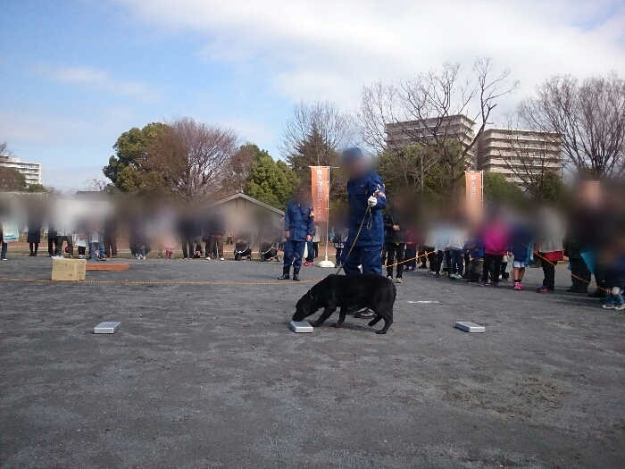f:id:jerich:20180311224324j:plain