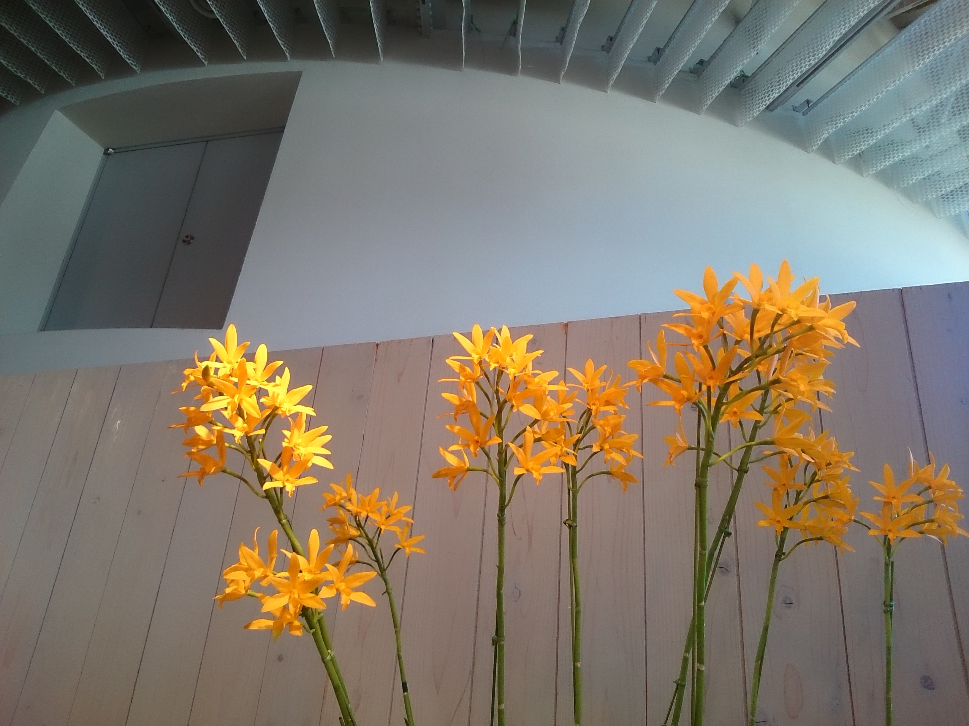 f:id:jerich:20180314011813j:image