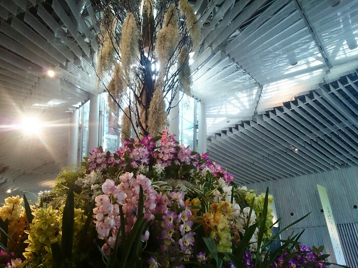 f:id:jerich:20180315232622j:plain