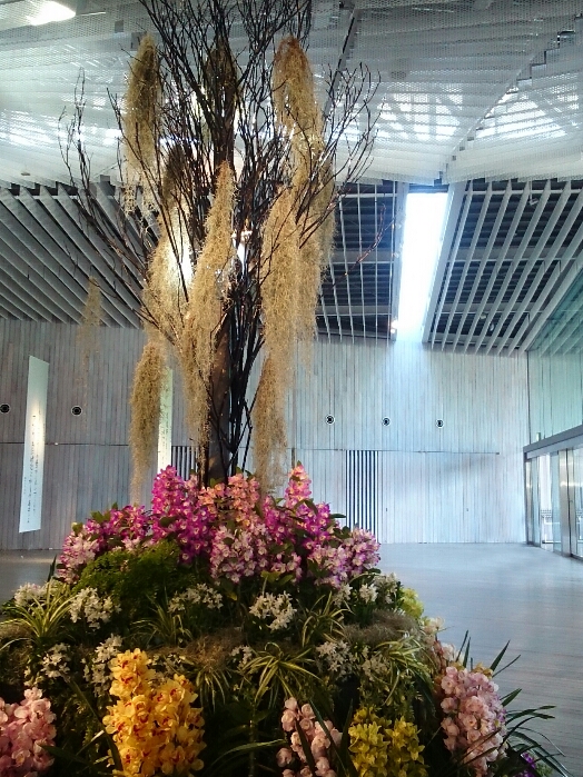 f:id:jerich:20180315232628j:plain