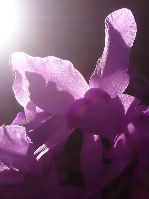 f:id:jerich:20180315232631j:plain