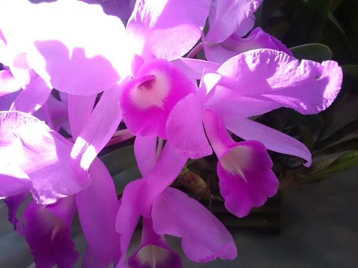 f:id:jerich:20180315232634j:plain