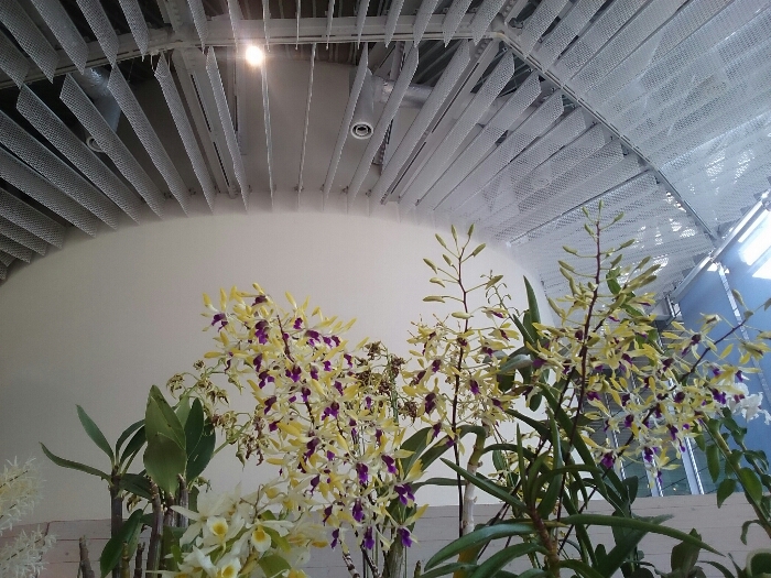 f:id:jerich:20180315233146j:plain