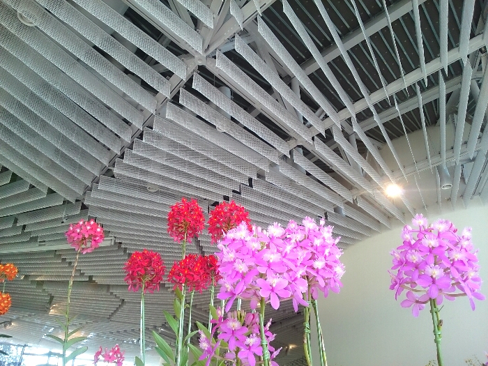 f:id:jerich:20180315233152j:plain