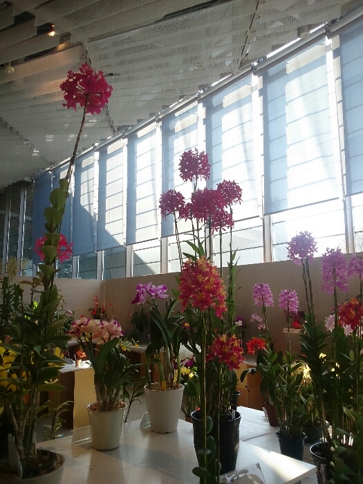 f:id:jerich:20180315233155j:plain