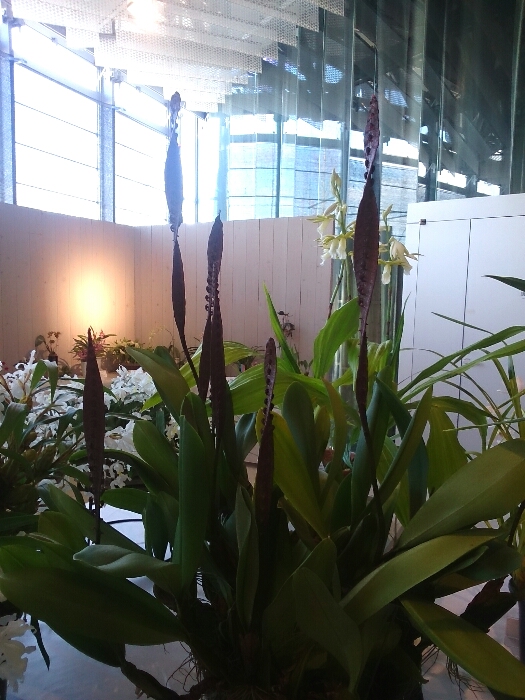 f:id:jerich:20180315233530j:plain